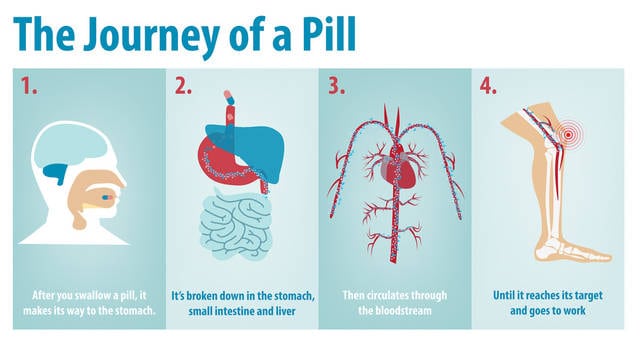 How Drugs Work In The Body Glenn S Strategies For Well Being