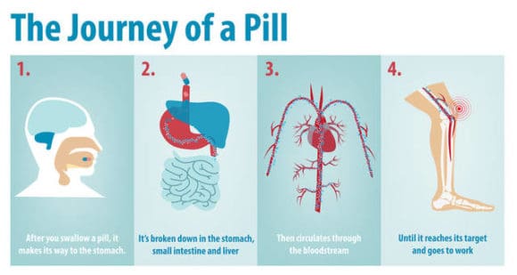 how-drugs-work-in-the-body-glenn-s-strategies-for-well-being